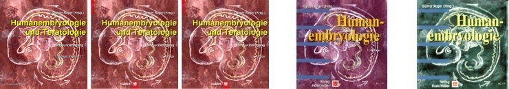 CD: Humanembryologie und Teratologie: Version 3.2, 3.1, 3, 2, 1
